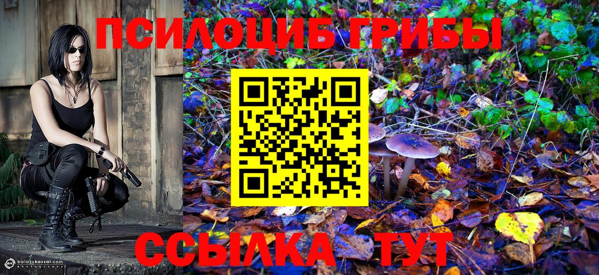 Псилоцибиновые грибы мухоморы  сколько стоит  Вход с VPN  Сосновый Бор  Галлюциногенные грибы ЛСД 